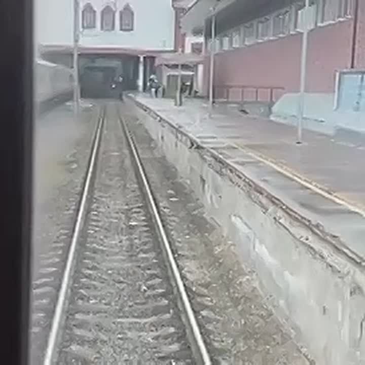 � ������ ������ � ��������� ����� �������� ������ ����� ������ ���������