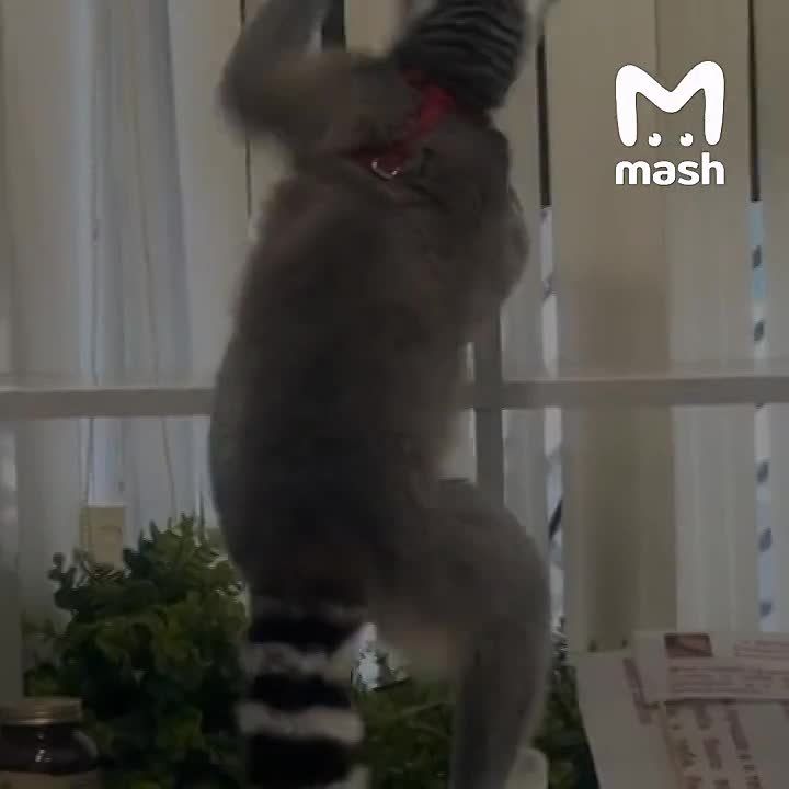 ������� � ������ ������-��������� ���� ������ �� �������� � �������� � �������