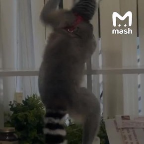 ������� � ������ ������-��������� ���� ������ �� �������� � �������� � �������