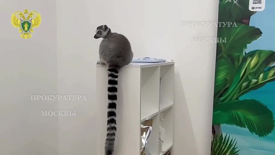 ��������� ������, ������������� ����������� �������� � ������, ������