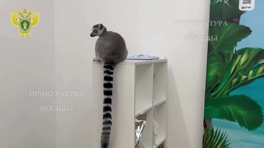 ��������� ������, ������������� ����������� �������� � ������, ������