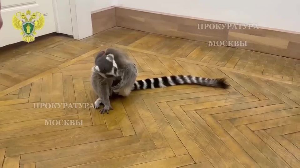 � ������ ������ ������, �������� ��������� ������� � ��������