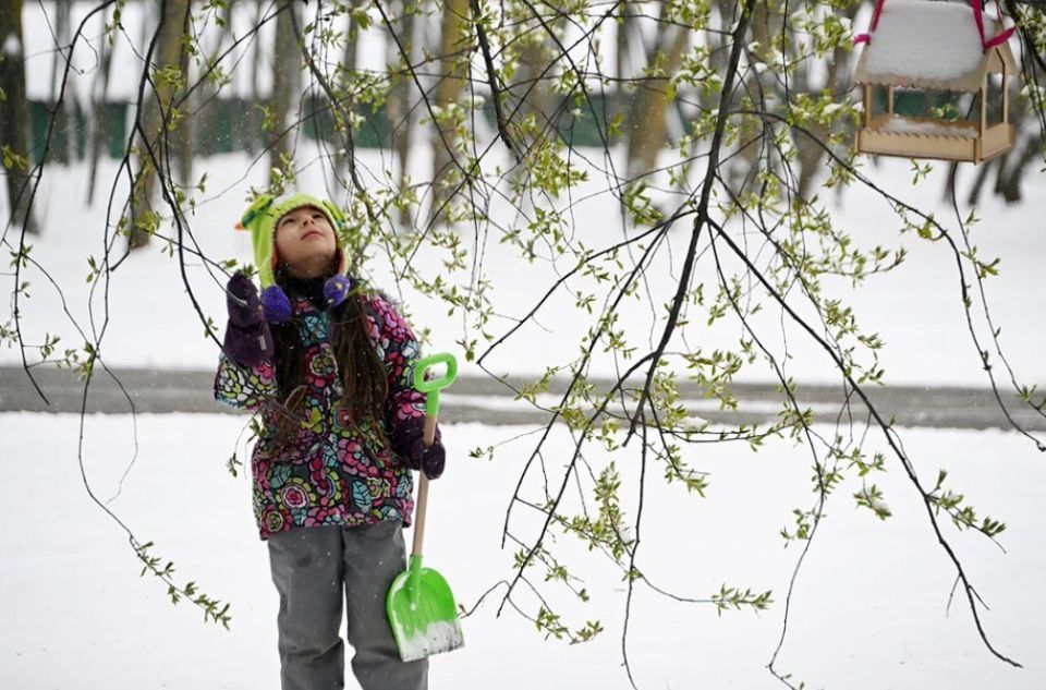 ������ ���� ��������� � ������ � ������� � ������� ����������� � �� �����