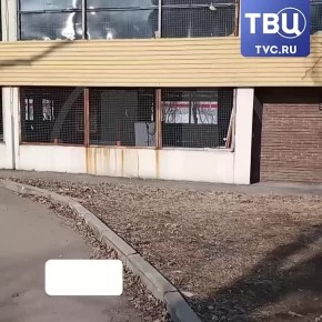 ���������� ������ ���� ��������� �� ������ �������