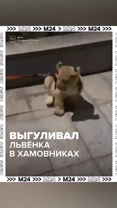 � ������ ������ � �� �������� ��������� �������� ������� � ������� �� �������