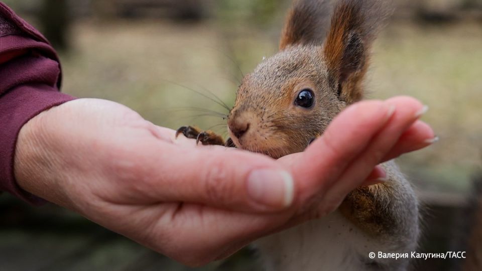 ��������� ����� � ��� �������� ���� ��������� �������� ����������, �������� ���� ����-������������ ���� ���������