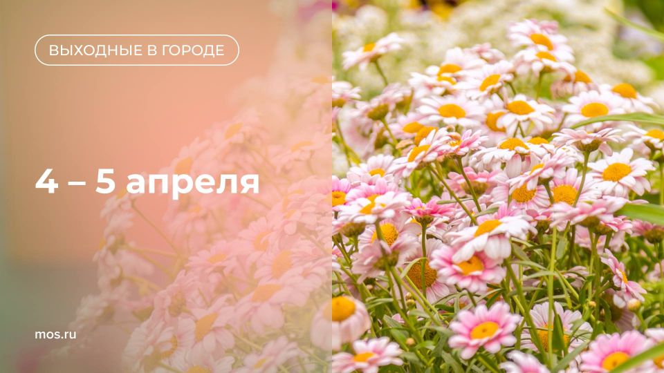 ����������� ��� ��� ������������ ��������� ��������