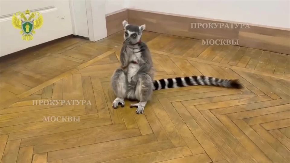 � ���������� �������� ������ ������ � �� ���������� � ������� ����� � ���������� ������