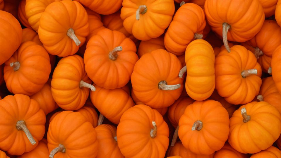 ��������� ������ �� ����� �����: ���� ���������� ���� � ������