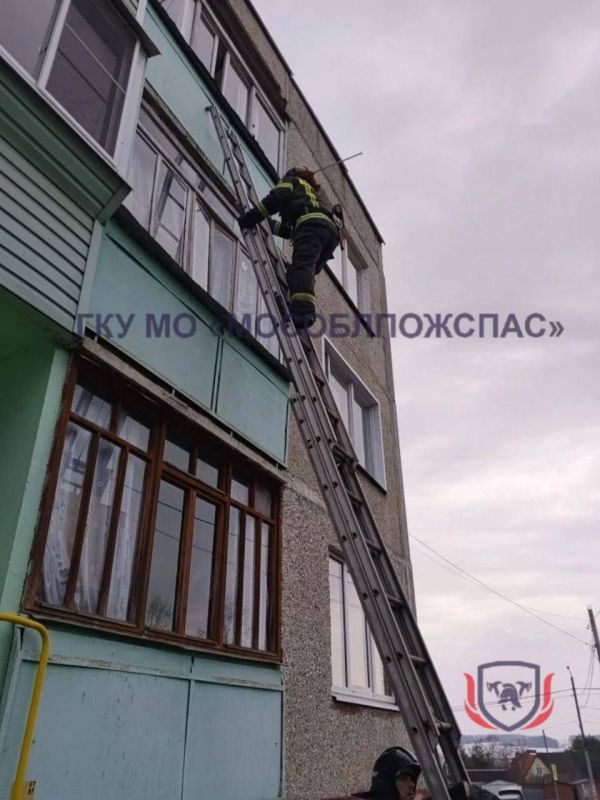 � ����������� 20 ����� ��������� ������� �� ������