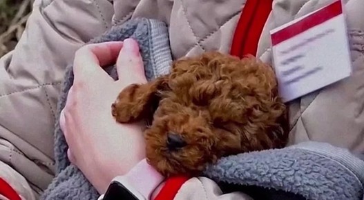 ��������� ��������� � ������� ������ ������� � ��������� ������� ������� ������� �����