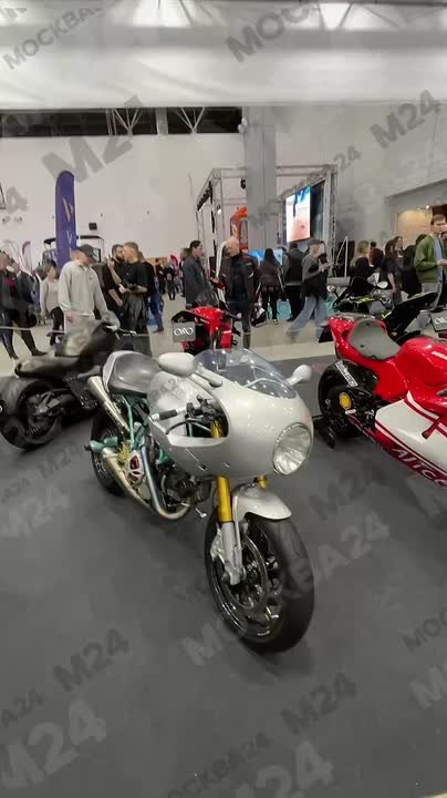 В парке «Патриот» зафиксировали выброс адреналина