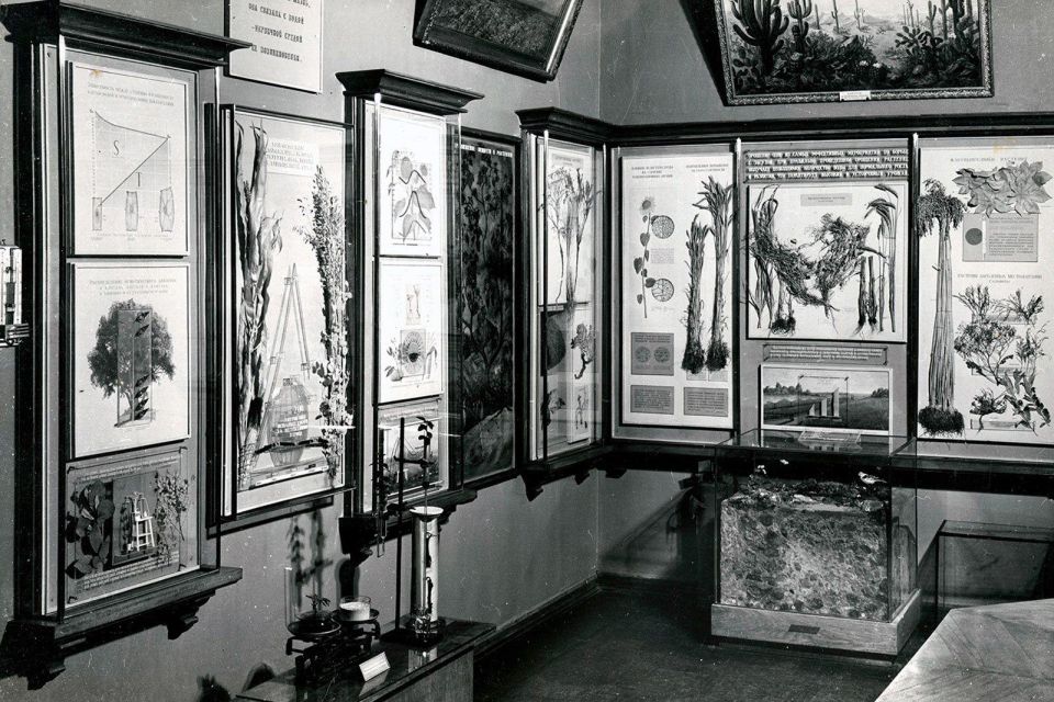 � ������ � ���������� ������ ����������� ���� ��������� ����� ��������