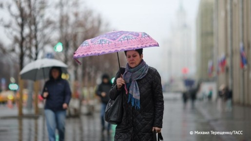 В Москве и Подмосковье осадки начнутся около 18:00 и усилятся ночью, сообщили ТАСС в Гидрометцентре