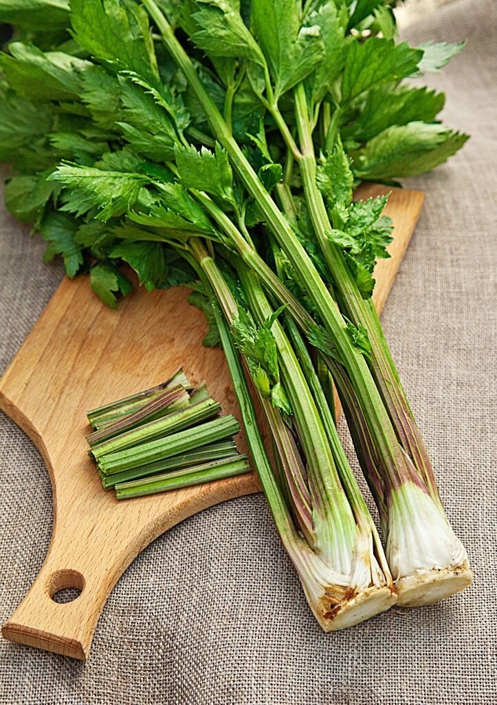 Выращивание черешкового сельдерея: секреты успешного ухода и хранения урожая