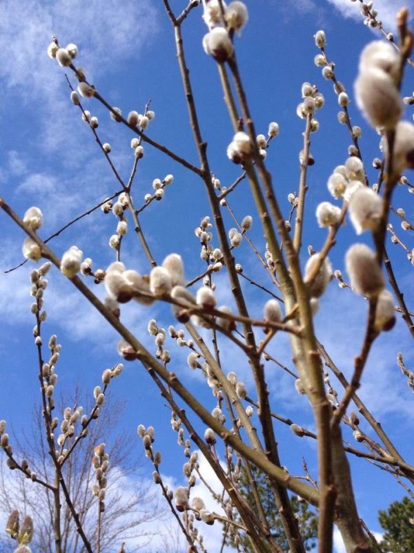 ������� ����������: � ������� ������������! ���� �����, ������� ���� ���������� � �������, �� ����� ������: � �����, ����, � ������ ���� � �����