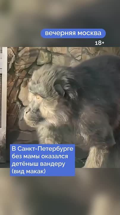 � ������������� �������� ������������ ��������������� �������: ��������� ������� ������ ������� ��� ������ ��������� � � ������ ��� ����� ��������� � ����� �����������