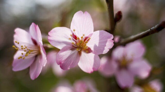 ��� � ������ �������� �� ������