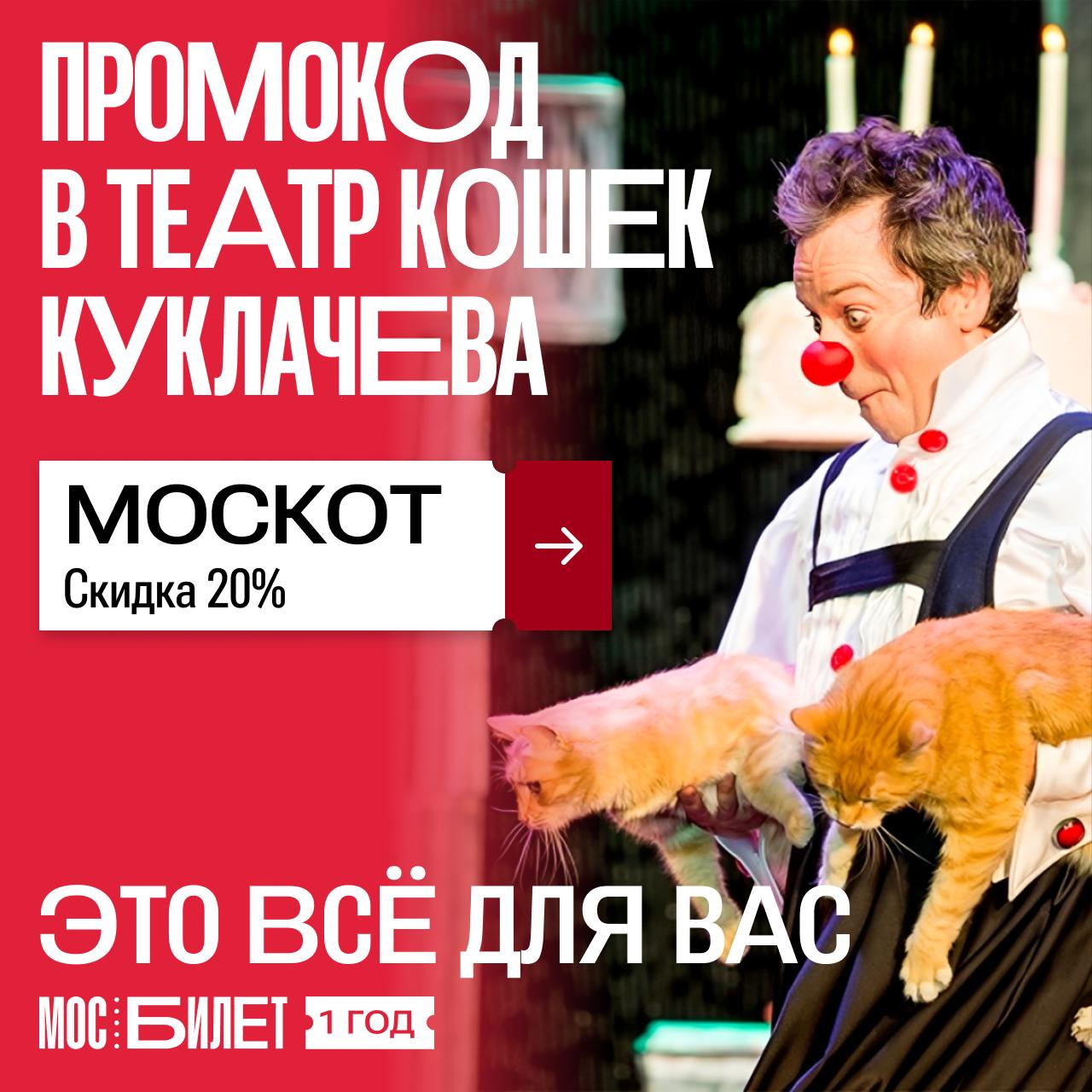 Отмечаем 1 год «Мосбилета» с котами и смехом