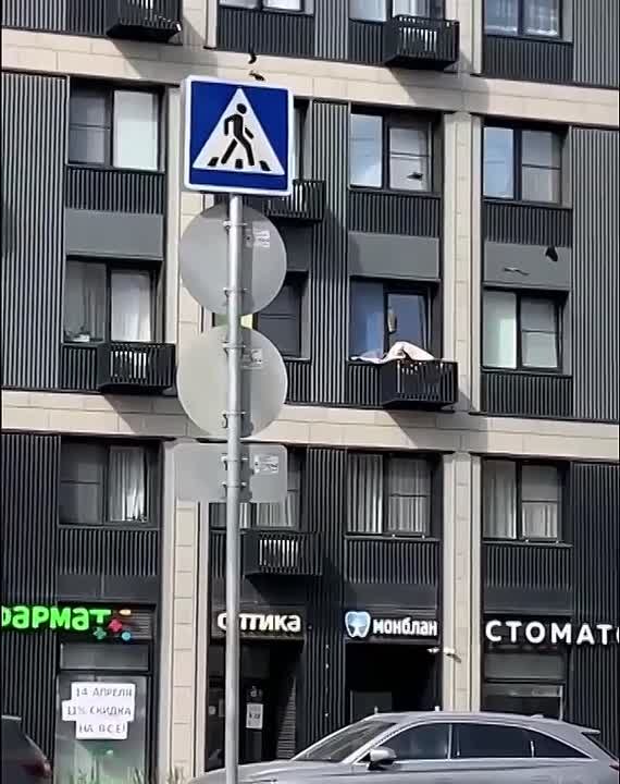 Кот устроил драму в окне на Тайнинской