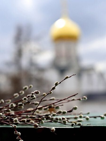 К жителям Приморья заглянул леопард с топором К жителям Приморья заглянул леопард с топором