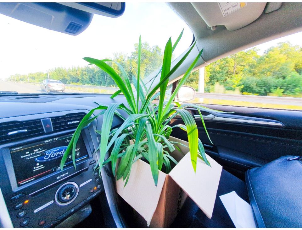 ��������� �������: ����������� ��������� � ����� �������