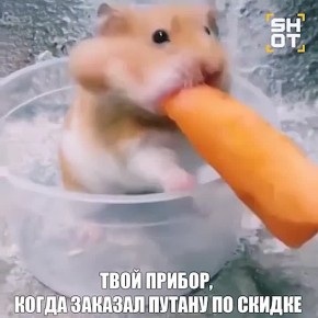 Московская проститутка чуть не откусила половой орган клиенту