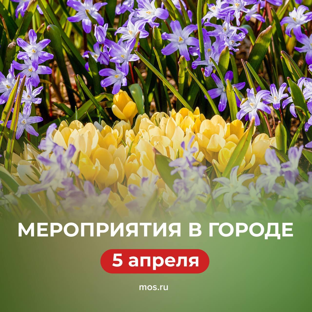 В это воскресенье нас ждет активный и культурный отдых