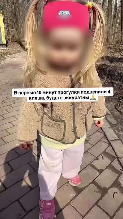 ��������� ��������� ��������� ������ ����� �� 10 ����� �������� � ����� ��������� � ������ �� ����� �� ����� �����, ���������, ������, �������� �� ������