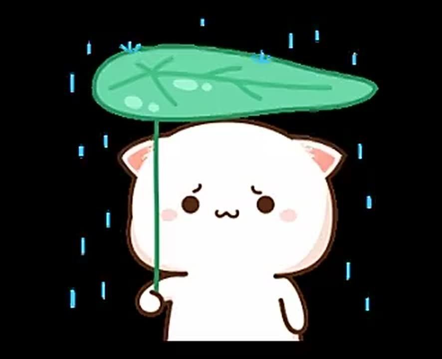 ��� �������������: � ��������� ����� � ������ ��������� ��������� ����� �� 15 �/� � ������� �����