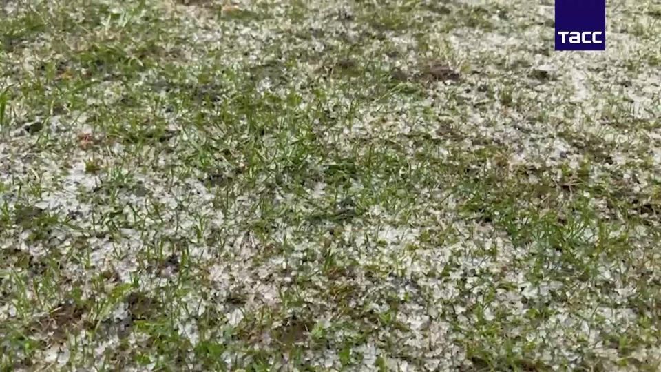 � ��������� ������� ����������� ������ ����