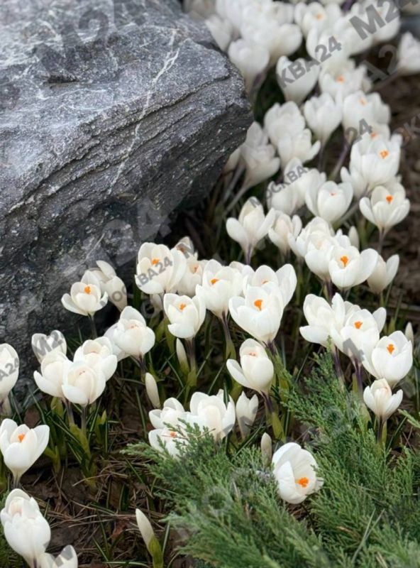 ���������: ������ ��������� � �������� ����� ��������� ������ ������ ������� � ������� � ����� �������� ������ ����� ������