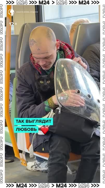 ������, ����� �������� � ������������� ����������� ���� � ����������, ��������� ���������