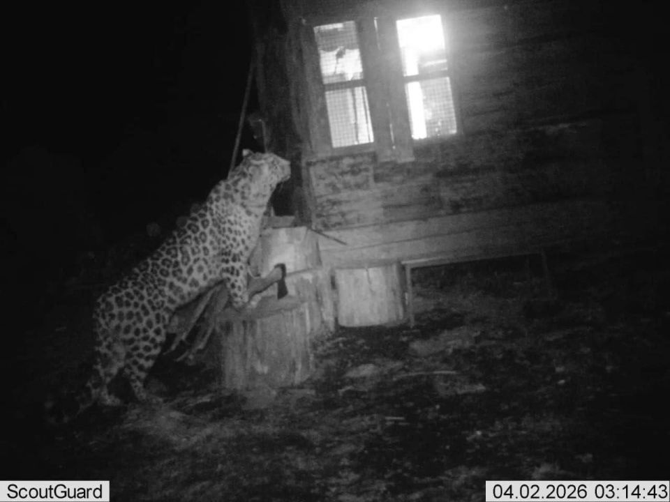 � ������� �������� �������� ������� � �������