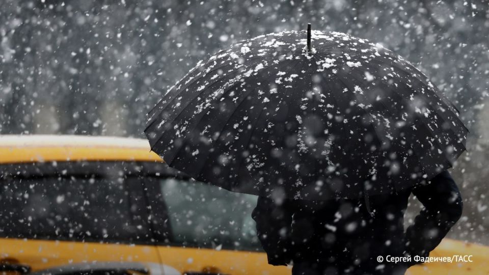 ������, ������ ���� � ����� �� 15 �/� ������� ������ � ����� ��������� ������, ������� �������� ������� ��������