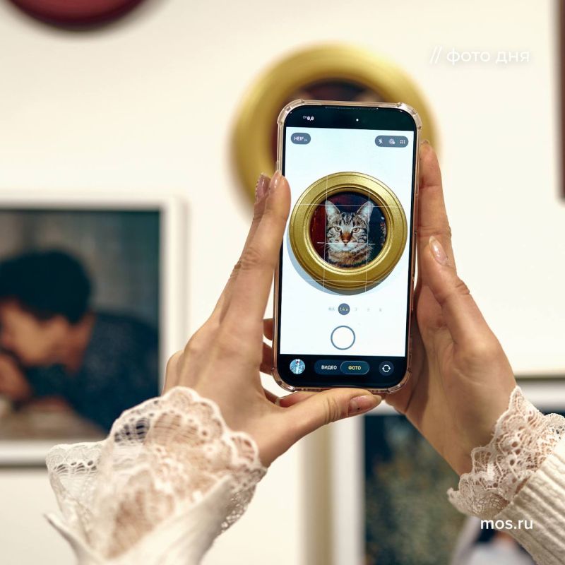 � ������������-���-����� �������� II ������������� �������� ���������� ��������