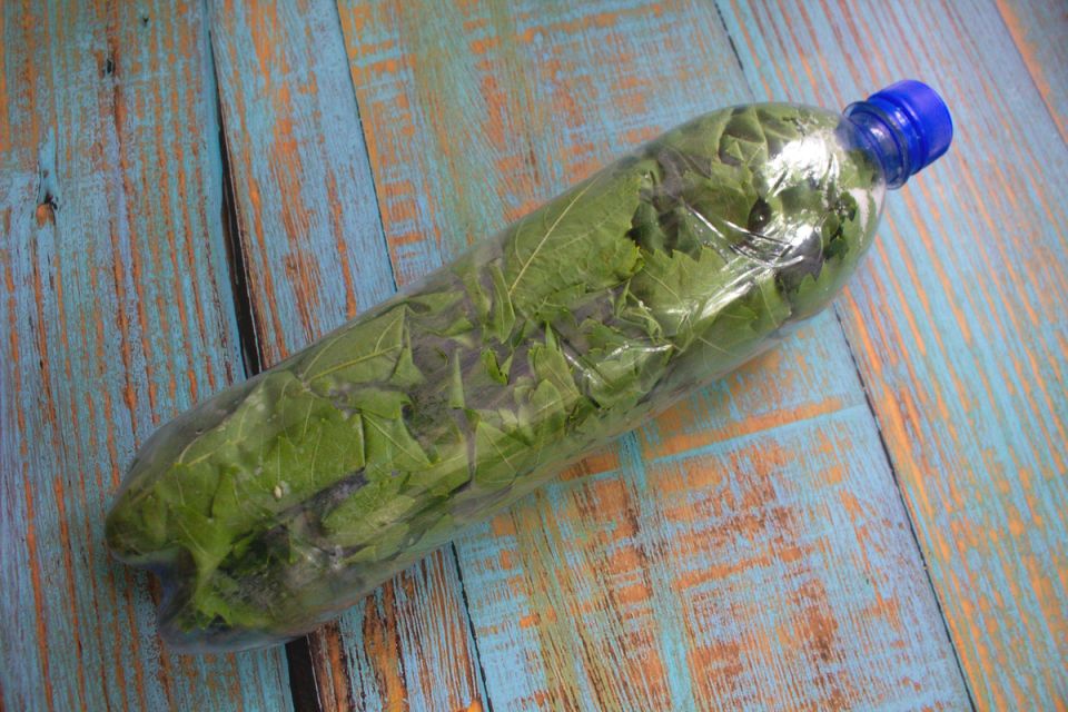 ������� ��������� ����������� �������: ������� ������ �� ����