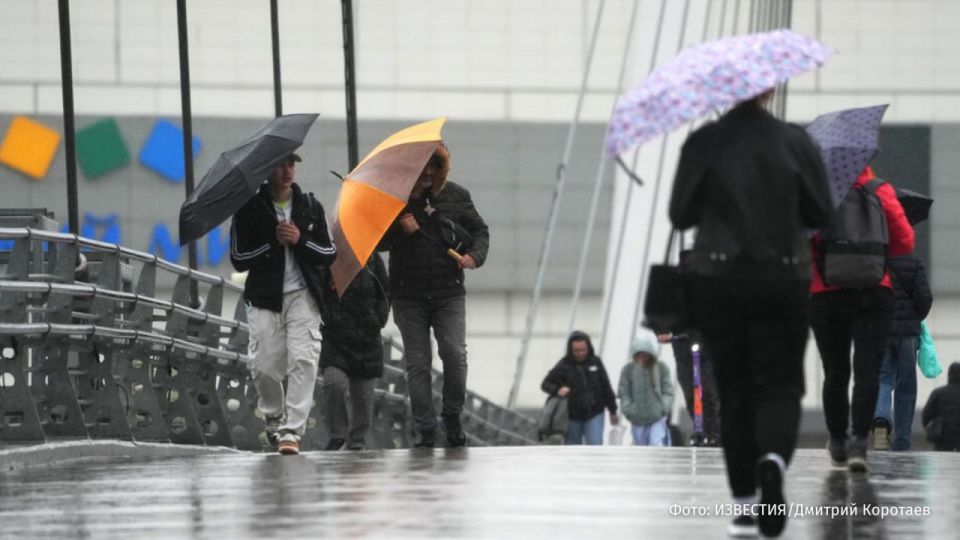 � ������ � ������ ������ ���������� ������������ ������ ������, ������ ��� � �������� ��������� ������ �����������, ������ � �������� �����