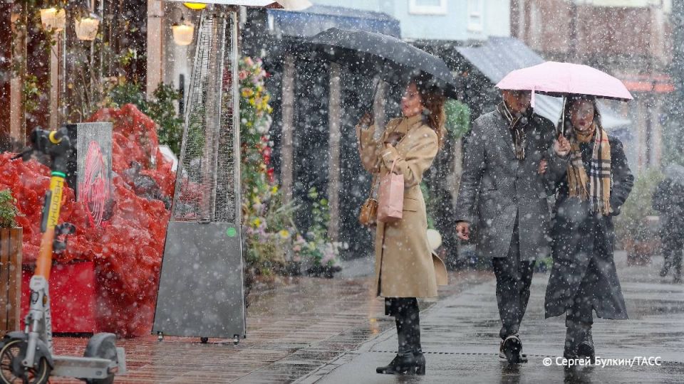 ������ ���� ������� ������� � ���������� ������� ����������� �����