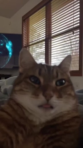 Доброе утро, столица!. Понедельник снова здесь — самое время собраться, наметить планы на неделю и плавно войти в рабочий ритм