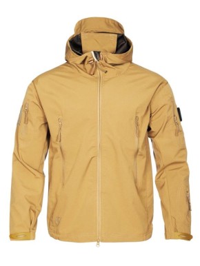 ������������ ������ � �������