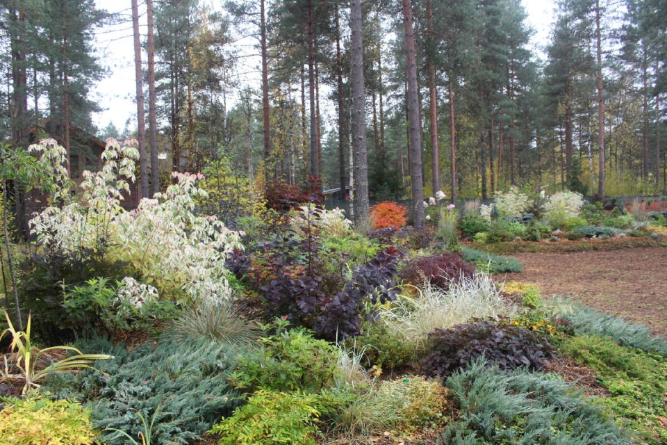 ������ ������ ������������ �� ������: ���� � ���������� ������������ �������