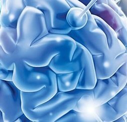 Память человека: тайны и тренировки