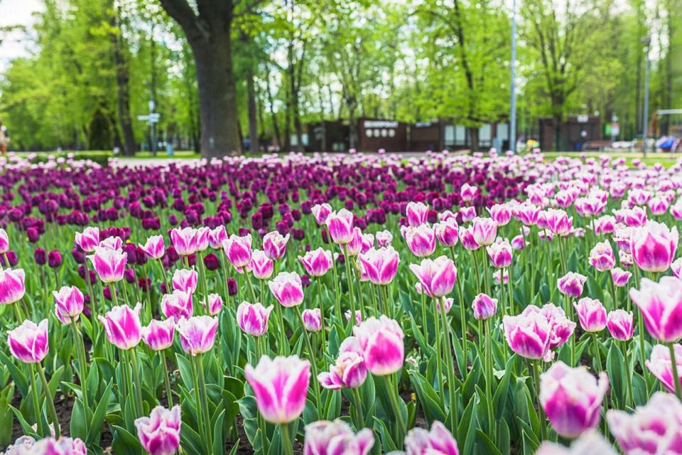 ����� �������� � ��� � ����: ��������� ����� ������ �������� � ������� ������