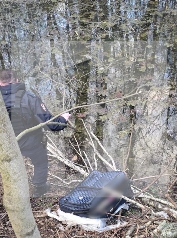 ����� ��������, � ������� ����� �������� ������� �� ������-������� ������, ��������� ��� ��