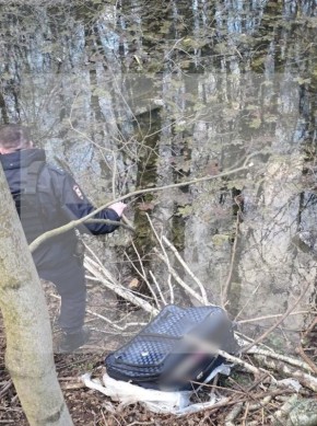 ����� ��������, � ������� ����� �������� ������� �� ������-������� ������, ��������� ��� ��