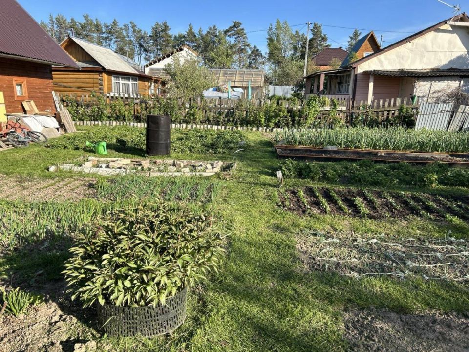 ��� ������ �������� �� ���� �� ������� �����������: ����������� ������