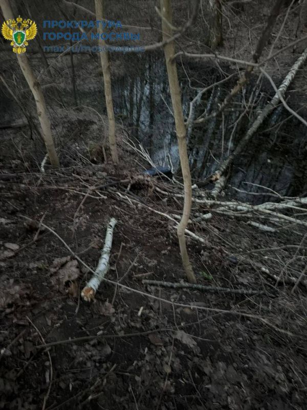 ���� ����������� ������� � �������� ����� �� ������-������� ������, �������� ��������� ���������� ������������� ��������