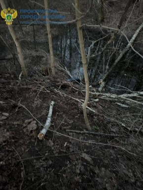 ���� ����������� ������� � �������� ����� �� ������-������� ������, �������� ��������� ���������� ������������� ��������