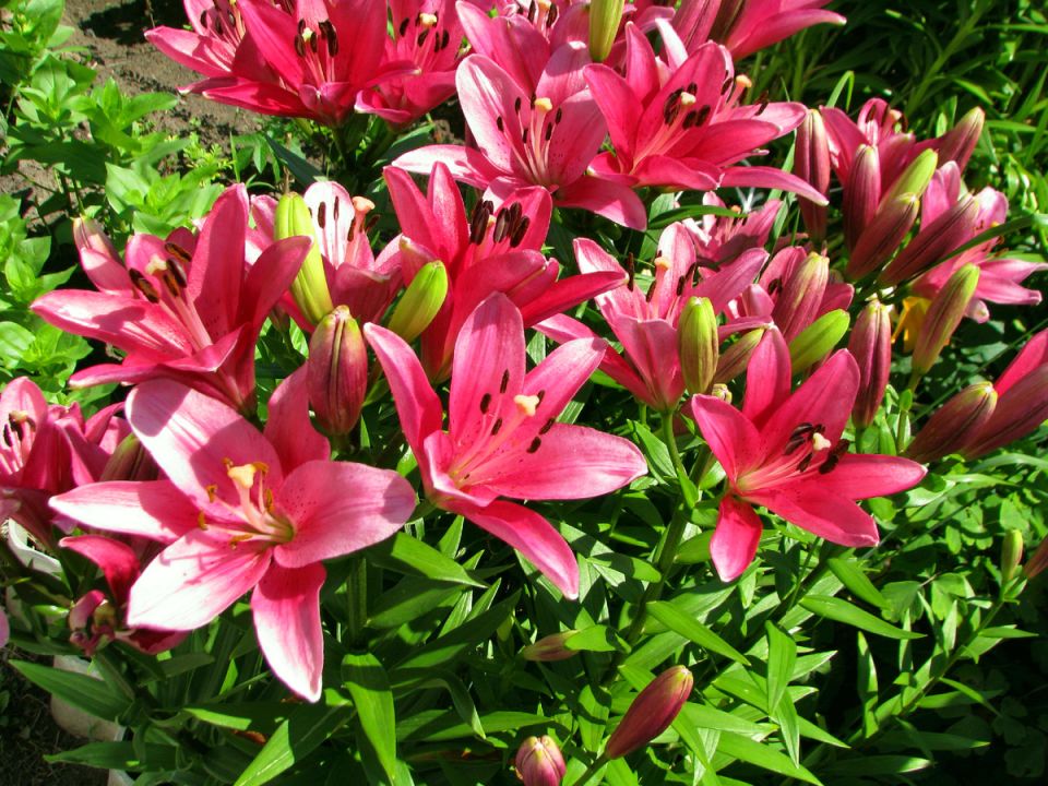 ����� � ����: ������ ���� � ����������� ������